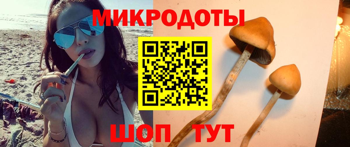Галлюциногенные грибы MAGIC MUSHROOMS Сибай